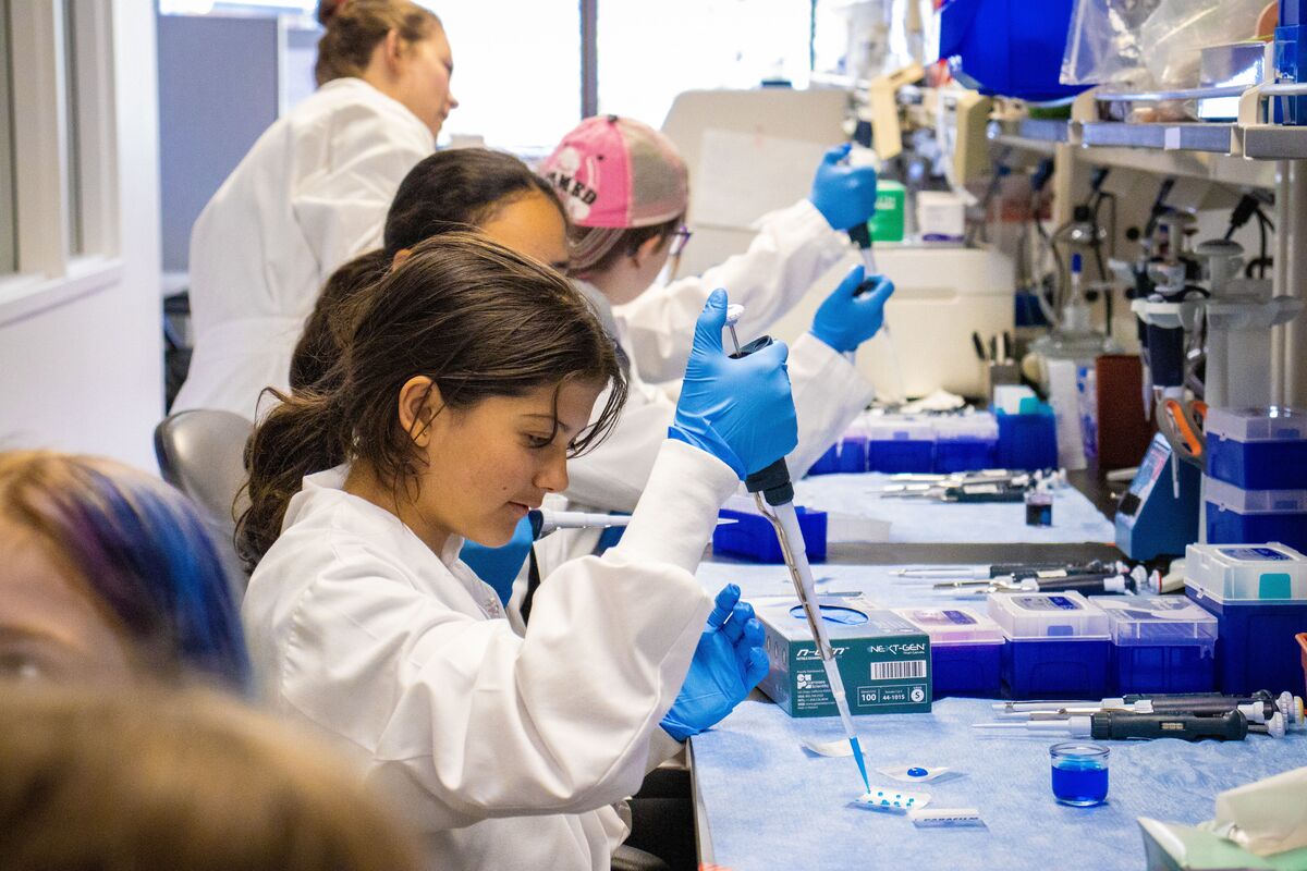 Students in lab coats and blue gloves pipette samples at a laboratory bench