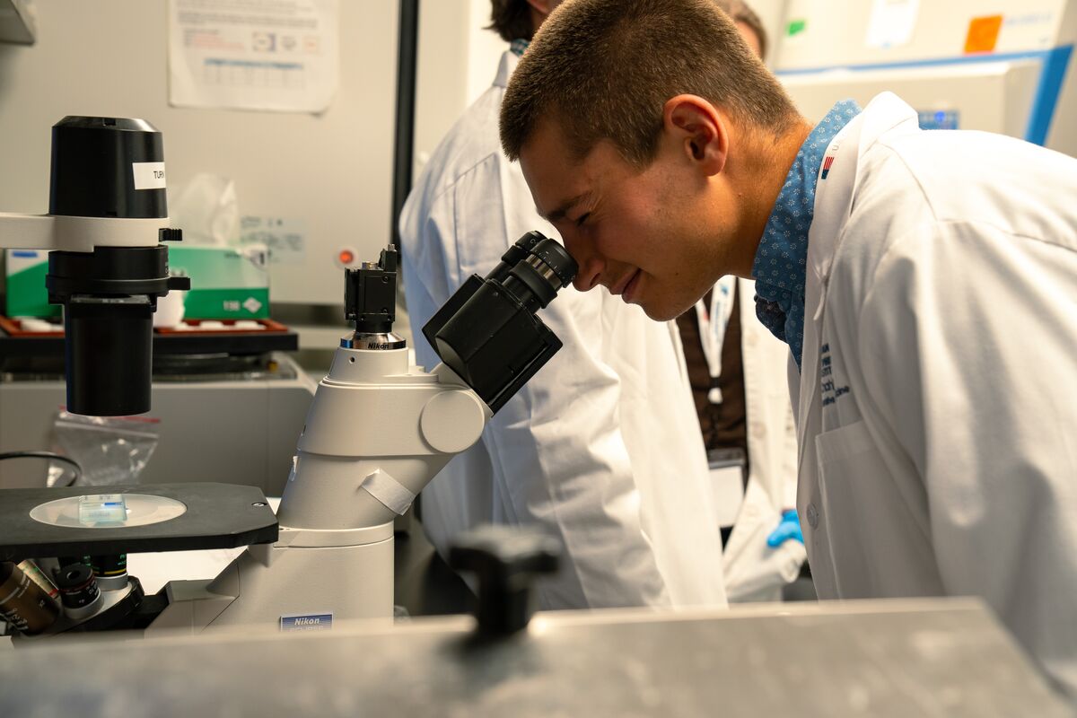 A student in a lab coat looks through a microscope in an SPRI research lab