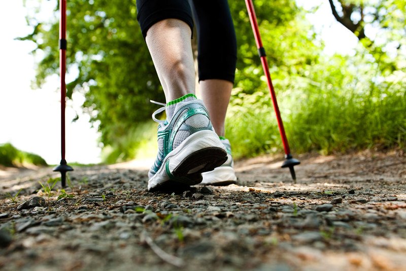 The Effect of Walking with Poles on Gait Mechanics